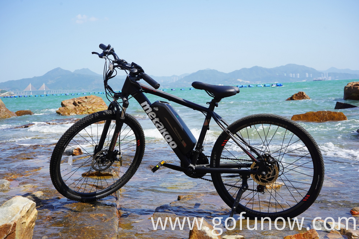 High Quality ebike Chinese Manufacturer Customized 10Ah Electric Bike Bafang Motor 350W Electric Bicycle mountain Bike